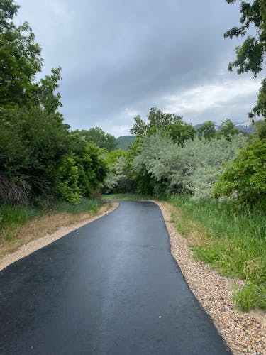 Layton, UT contractors